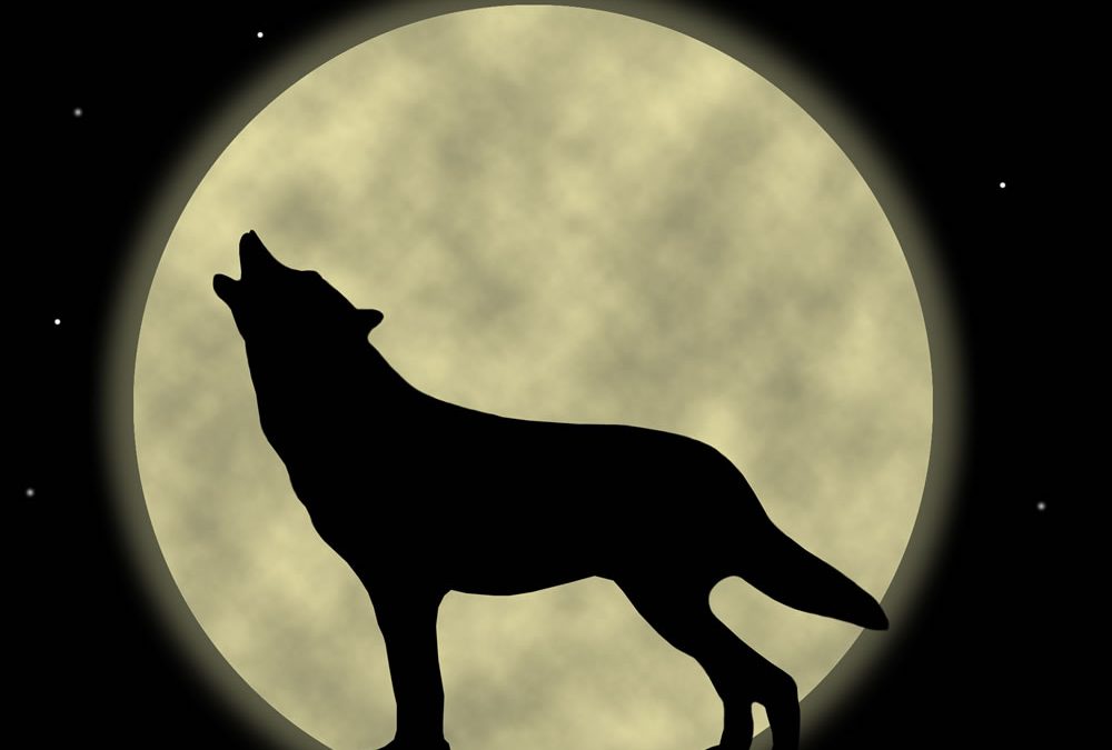 Howl-O-Ween Online Auction