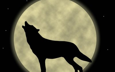 Howl-O-Ween Online Auction