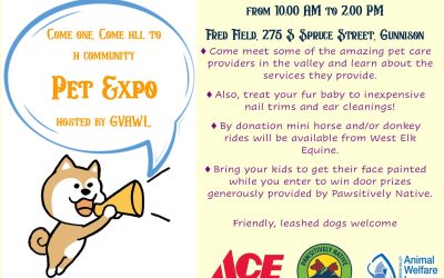 Pet Expo- Saturday, February 3, 2024