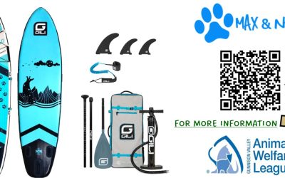 Win a Stand Up Paddle Board! $699.99 Value!