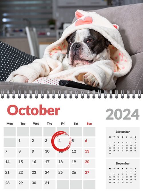 Your pet could be front and center in 2025!