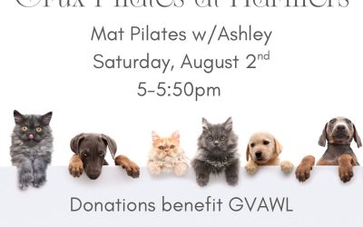 Crux Pilates at Harmel’s, Benefiting GVAWL, Saturday, August 2nd