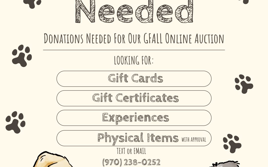 Donate to GVAWL’s November 2025 Online Auction to Help Homeless Animals in the Gunnison Valley