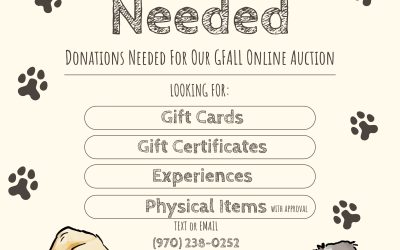 Donate to GVAWL’s November 2025 Online Auction to Help Homeless Animals in the Gunnison Valley