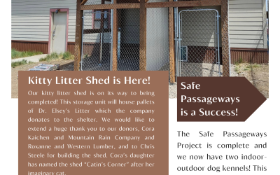 2025 FALL NEWSLETTER