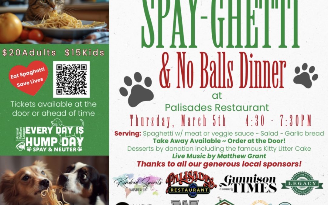 Spayghetti and No Balls Dinner