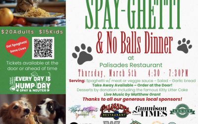 Spayghetti and No Balls Dinner
