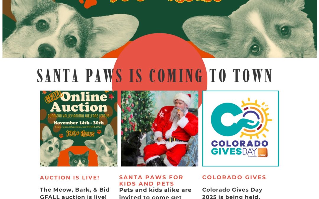 2025 Holiday Newsletter