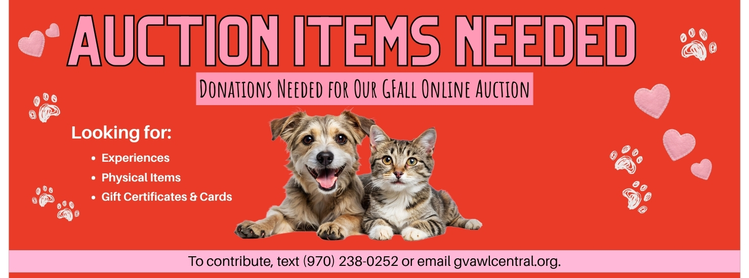 Auction items needed. Donations needed for our GFALL online auction. Looking for: gift certificates and cards, physical items, experiences. To contribute, text 970 238-0252 or email gvawlcentral.org
